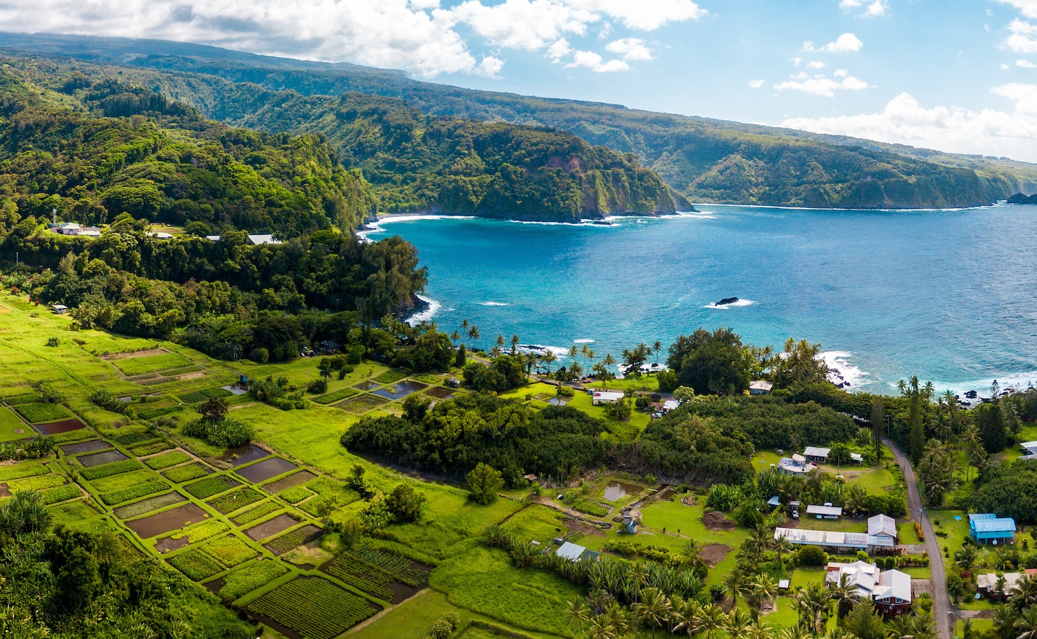 Maui Couples Airbnbs