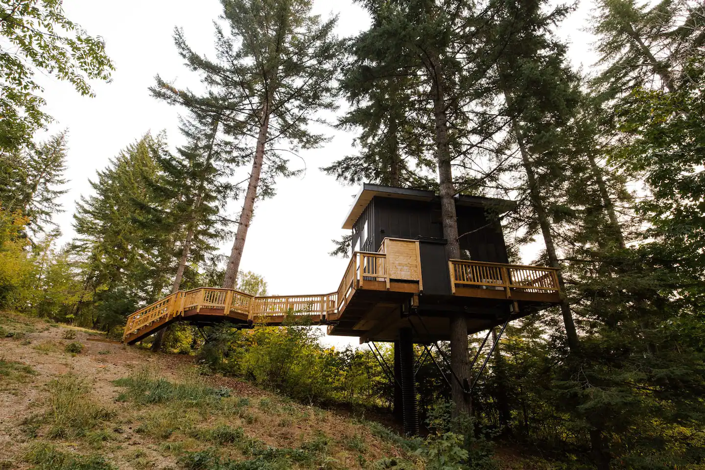 The Klickitat Treehouse Glamping in Washington