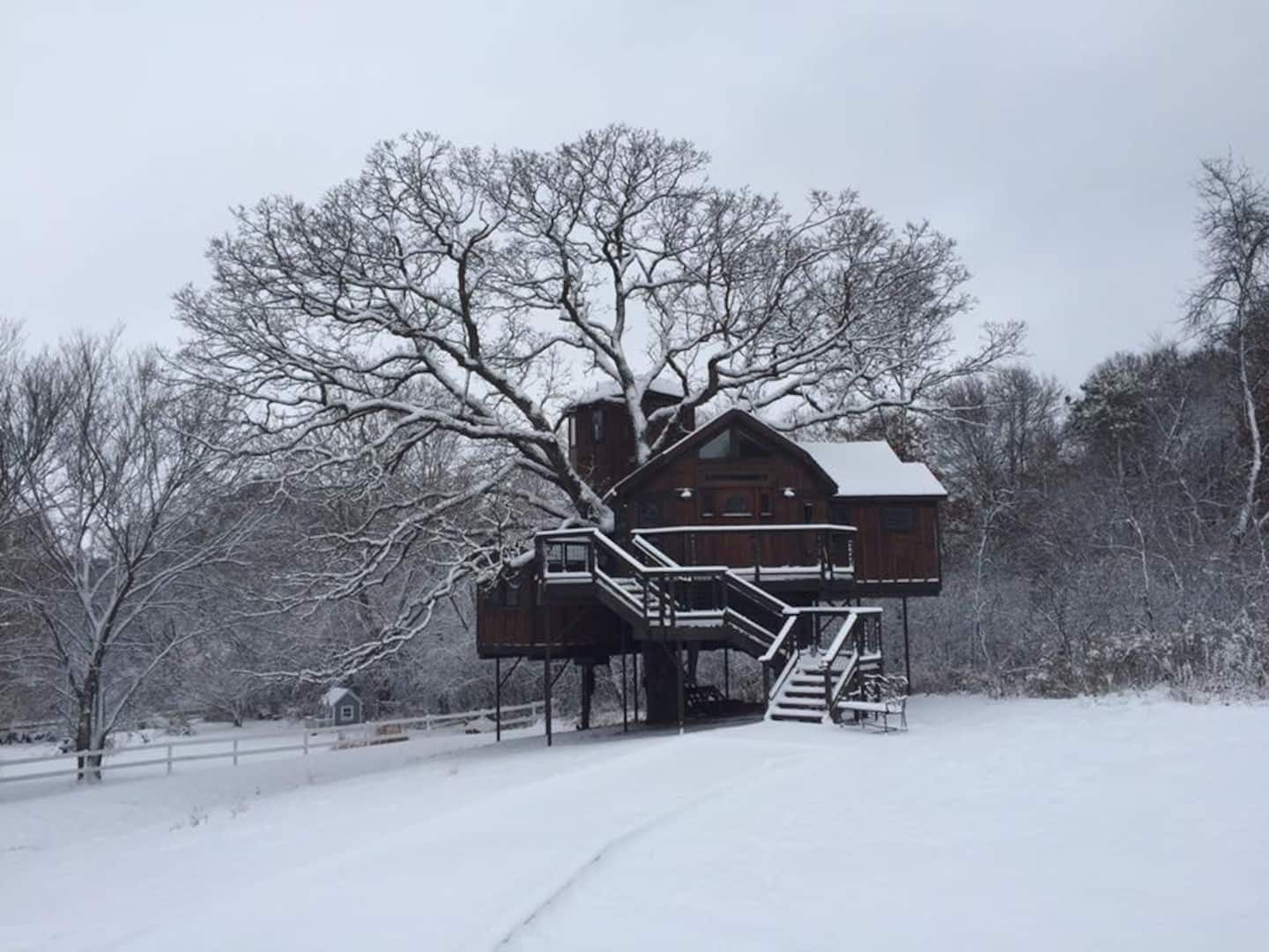 Treehouse Airbnb Minneapolis