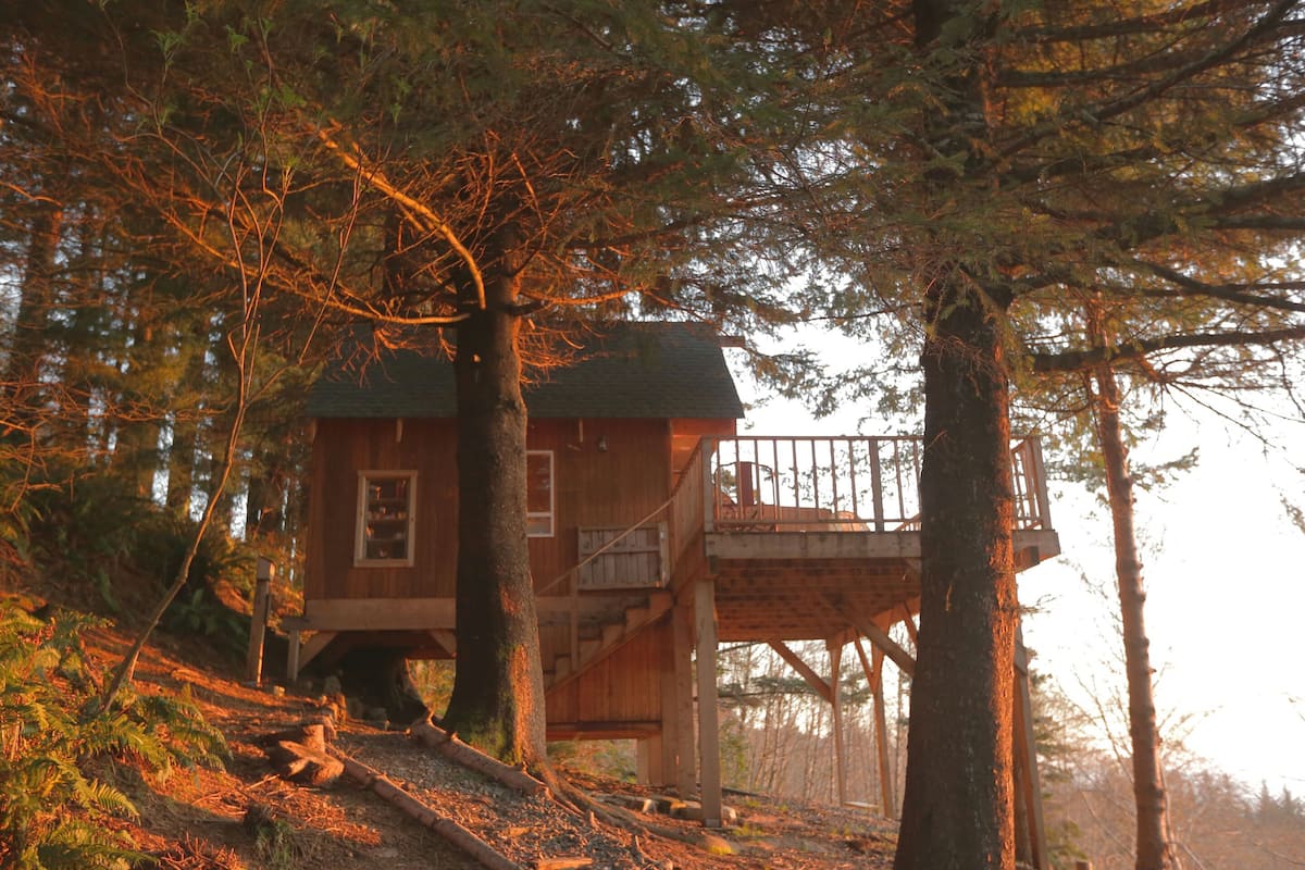 Treehouse Airbnb Oregon Coast