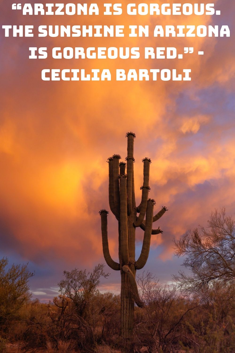 92 Best Arizona Quotes, Sayings & Captions for Instagram