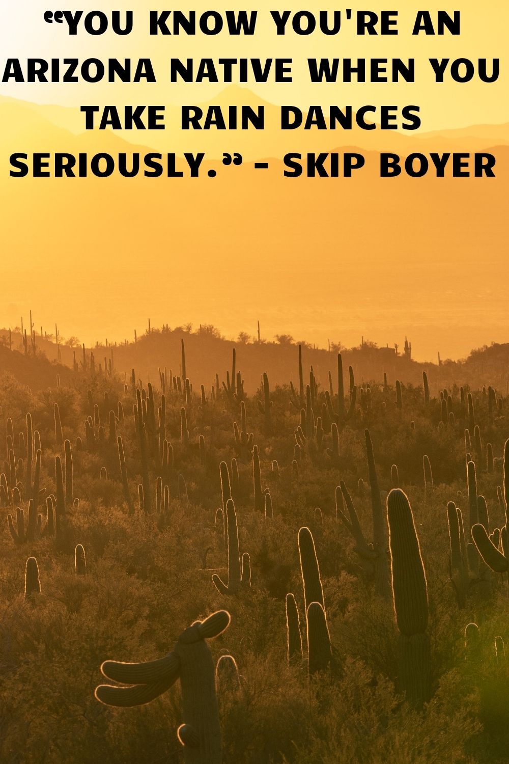 92 Best Arizona Quotes, Sayings & Captions for Instagram