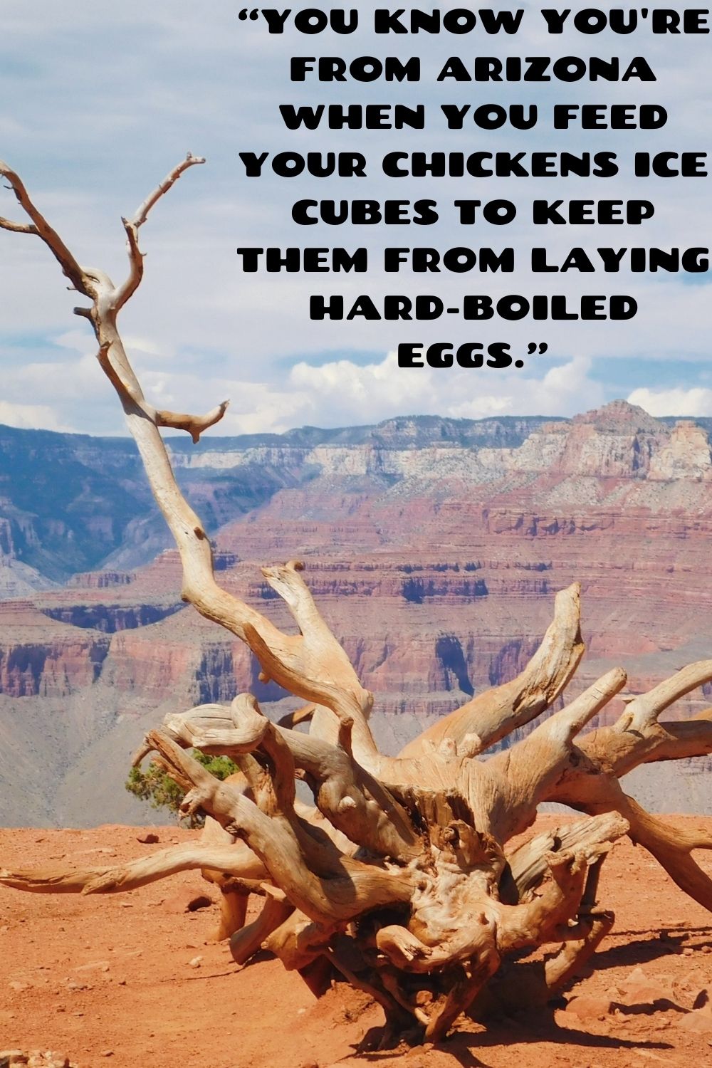 92 Best Arizona Quotes, Sayings & Captions for Instagram