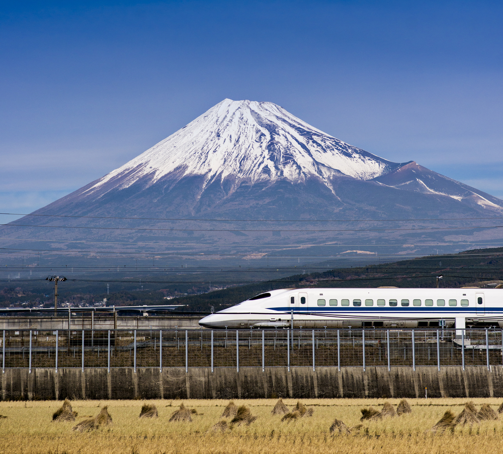 Mt Fuji Airbnbs