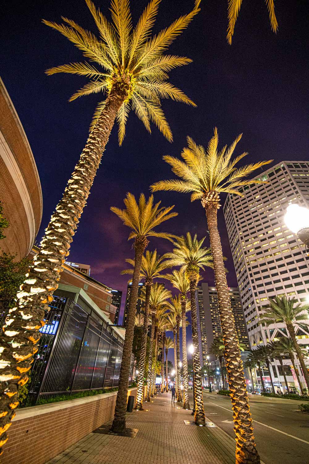 New Orleans at night