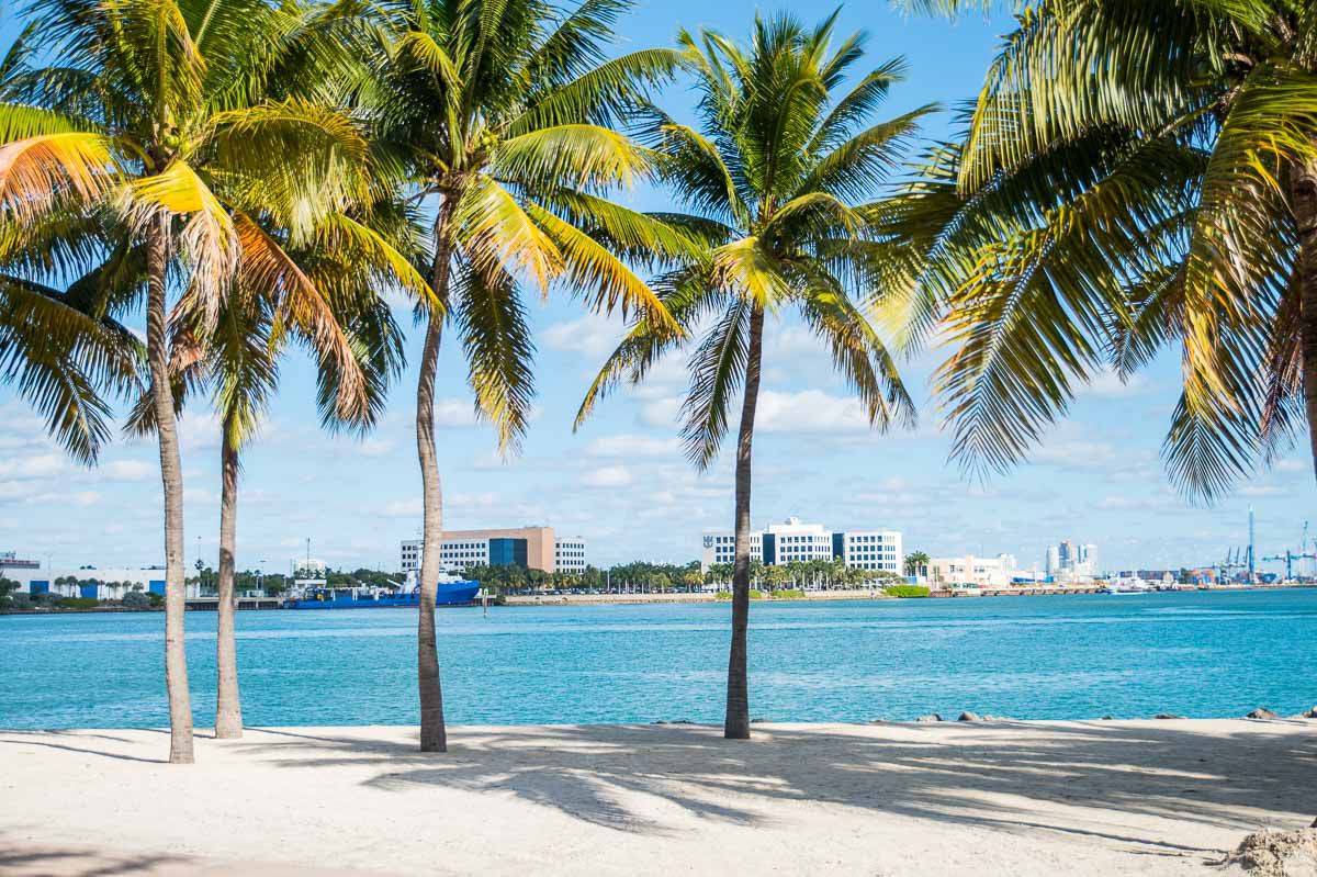 Quotes about Miami Florida