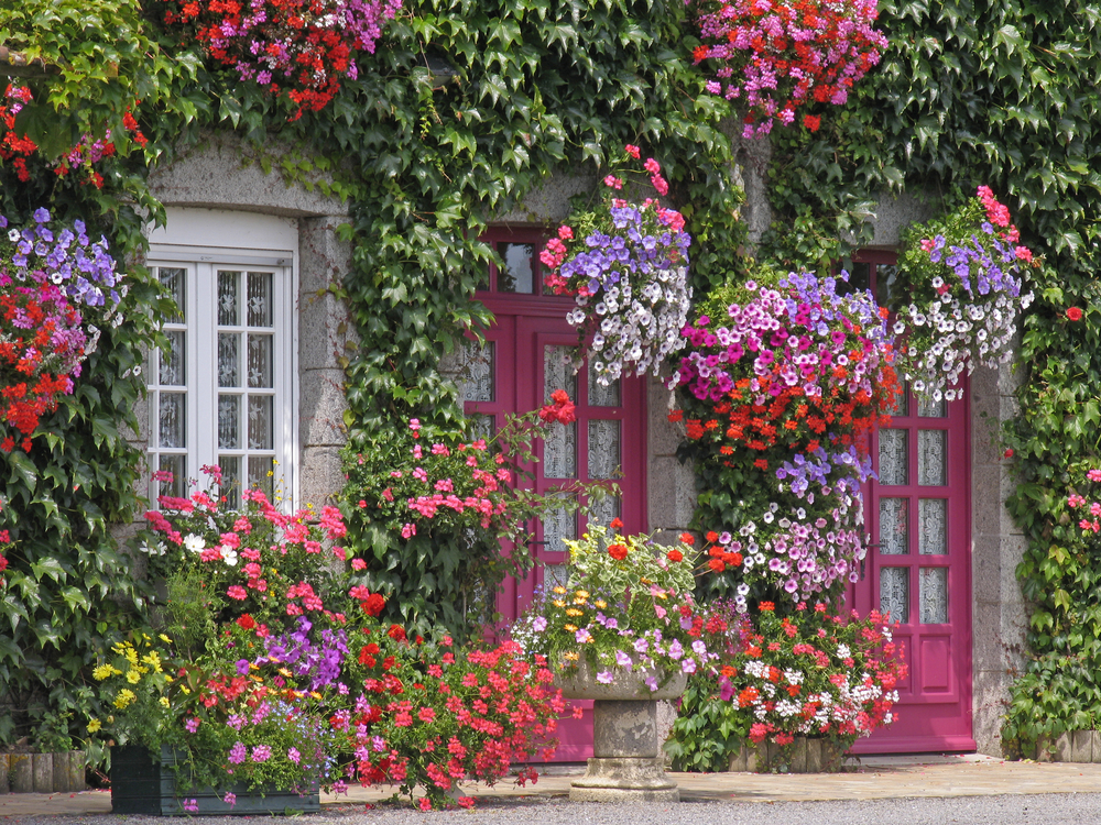 Romantic France Airbnb