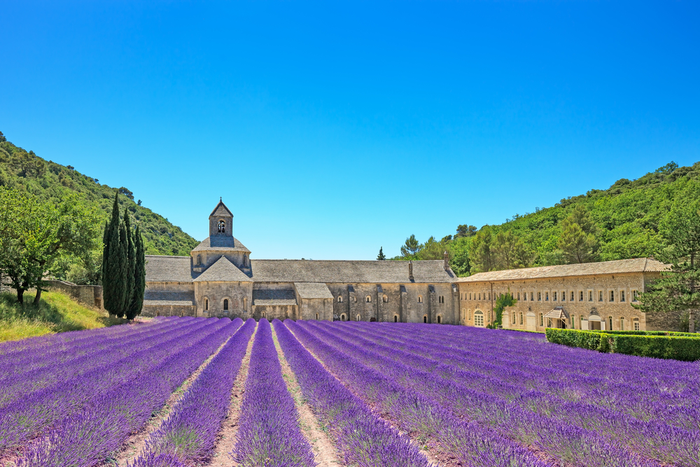 Single France Airbnbs