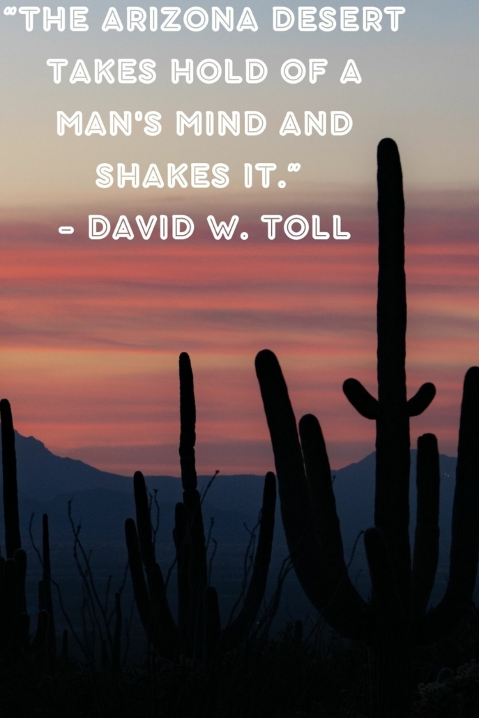 quotes about arizona