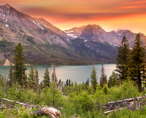 Best Glamping in Montana