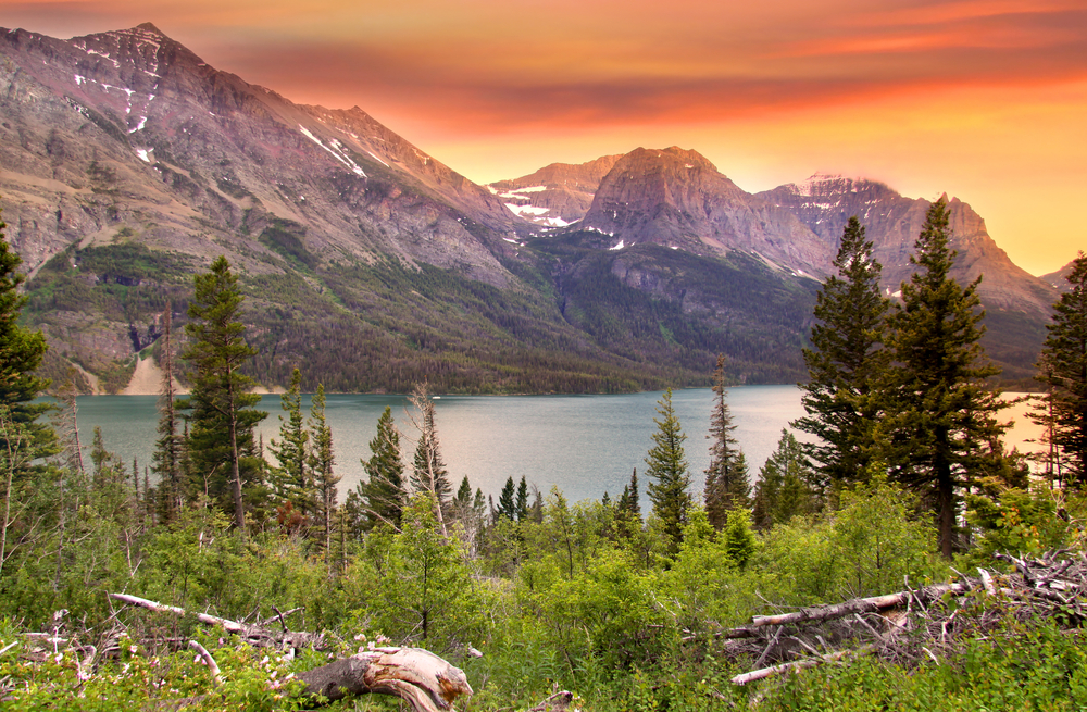 Bästa glamping i Montana