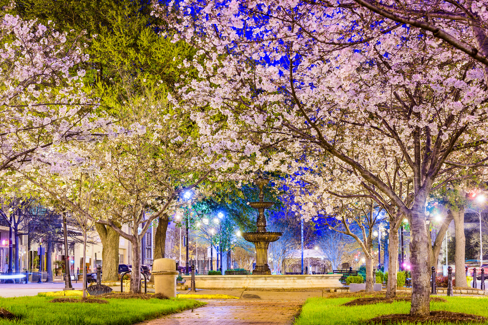 Macon, Georgia trees and fountain