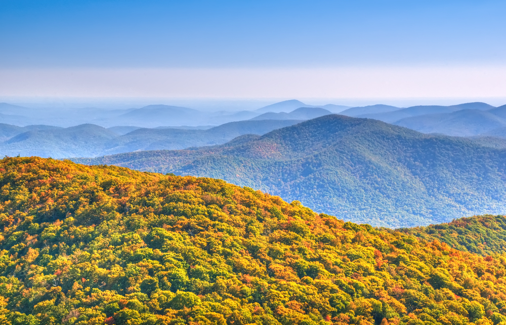 Glamping in Georgia