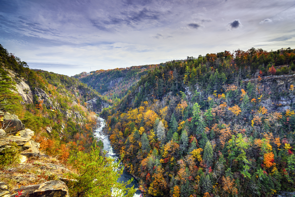 Georgia Nature Landscape