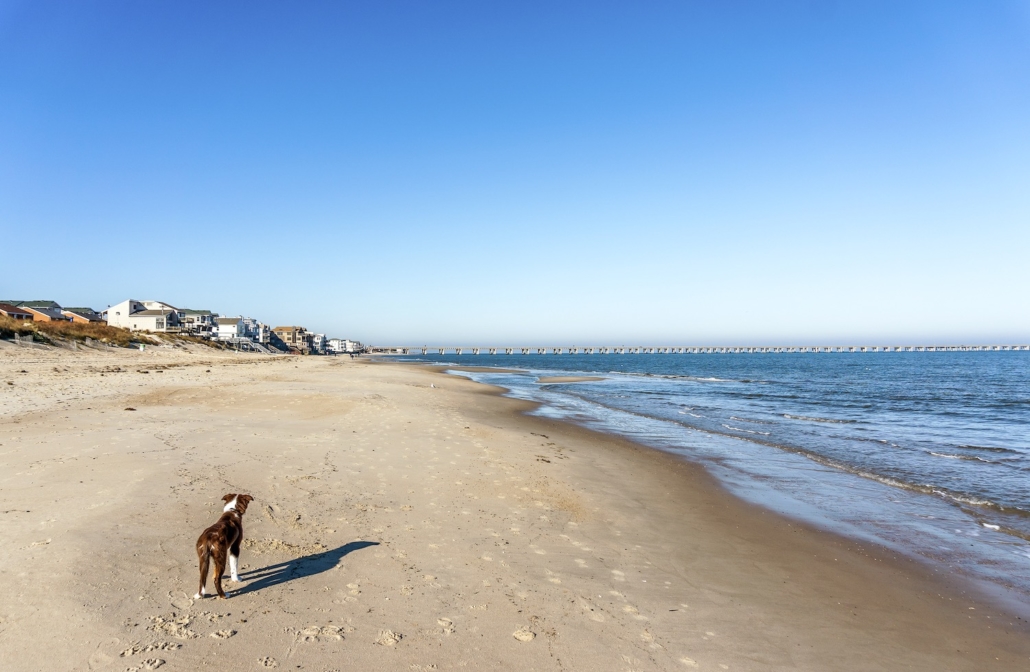 The 19 Coolest & BEST Airbnb Virginia Beach Vacation Rentals [2020]