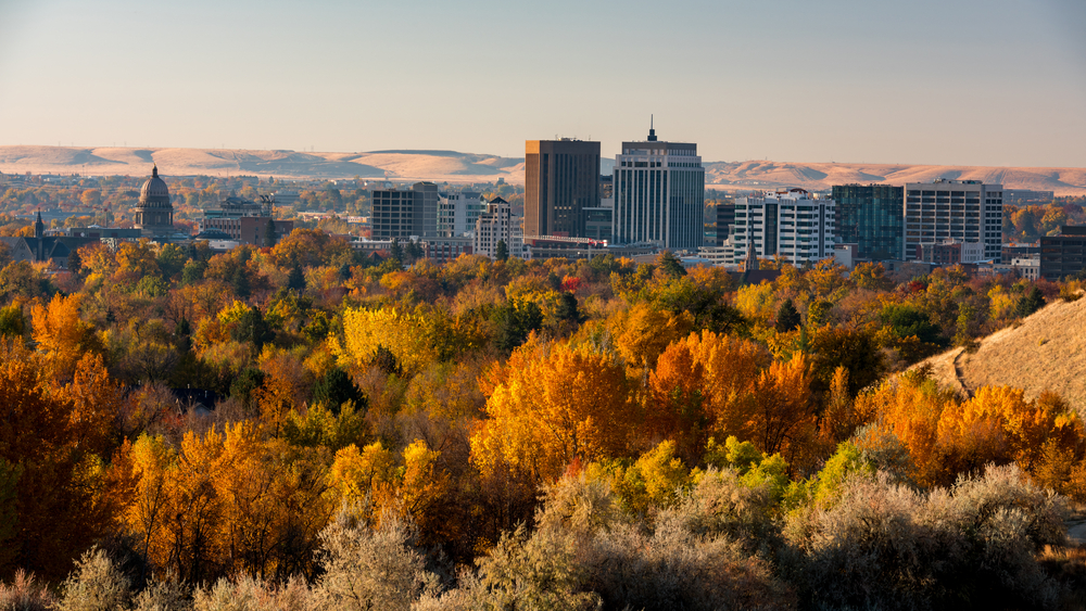 Airbnbs Boise