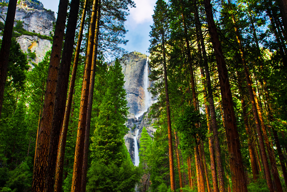 Airbnbs in Yosemite