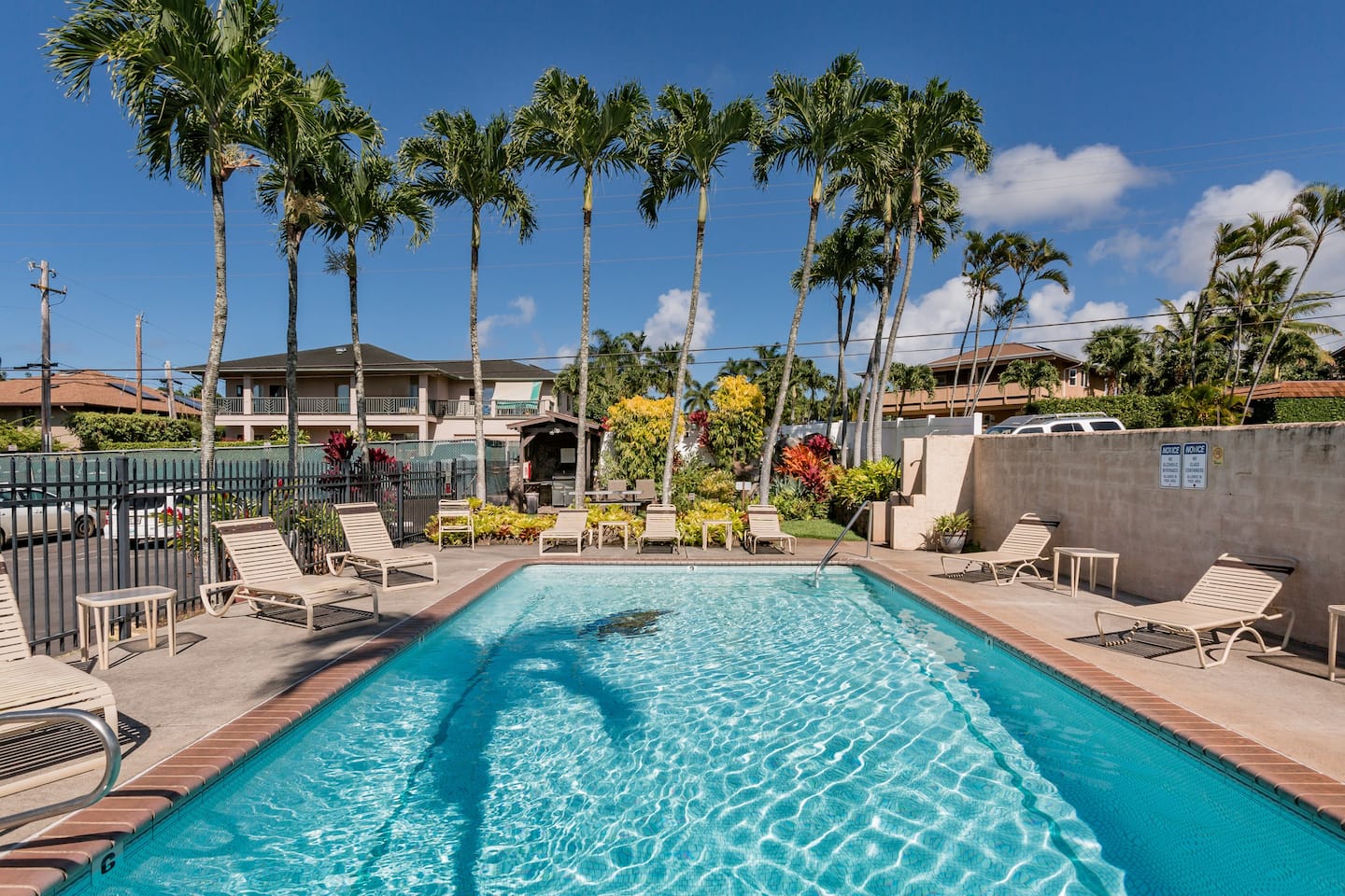 Best Airbnb in Hawaii With Pool