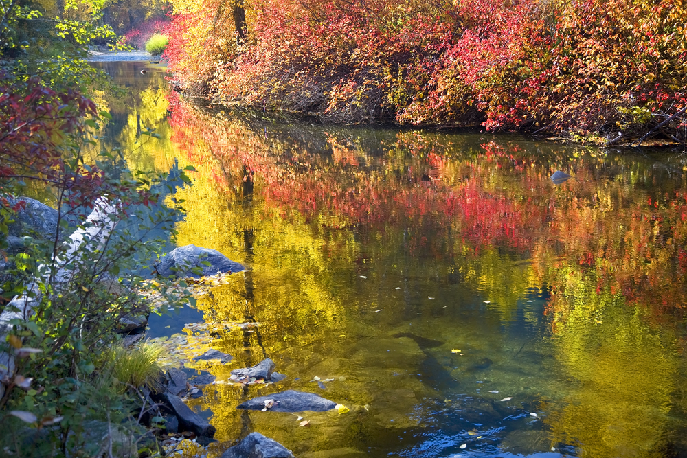 Best Airbnbs in Leavenworth