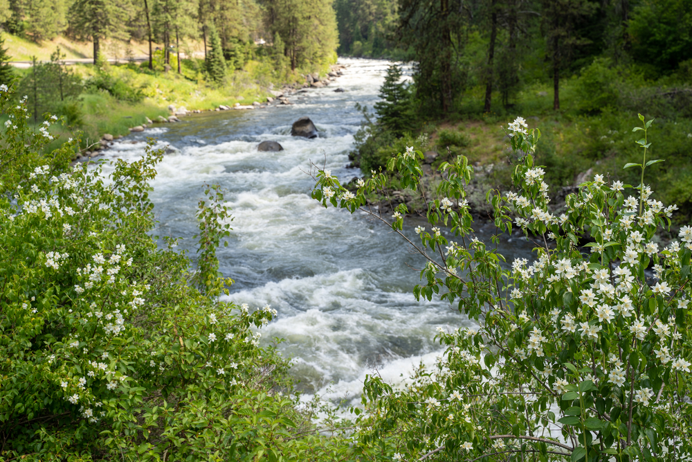 Boise Tours