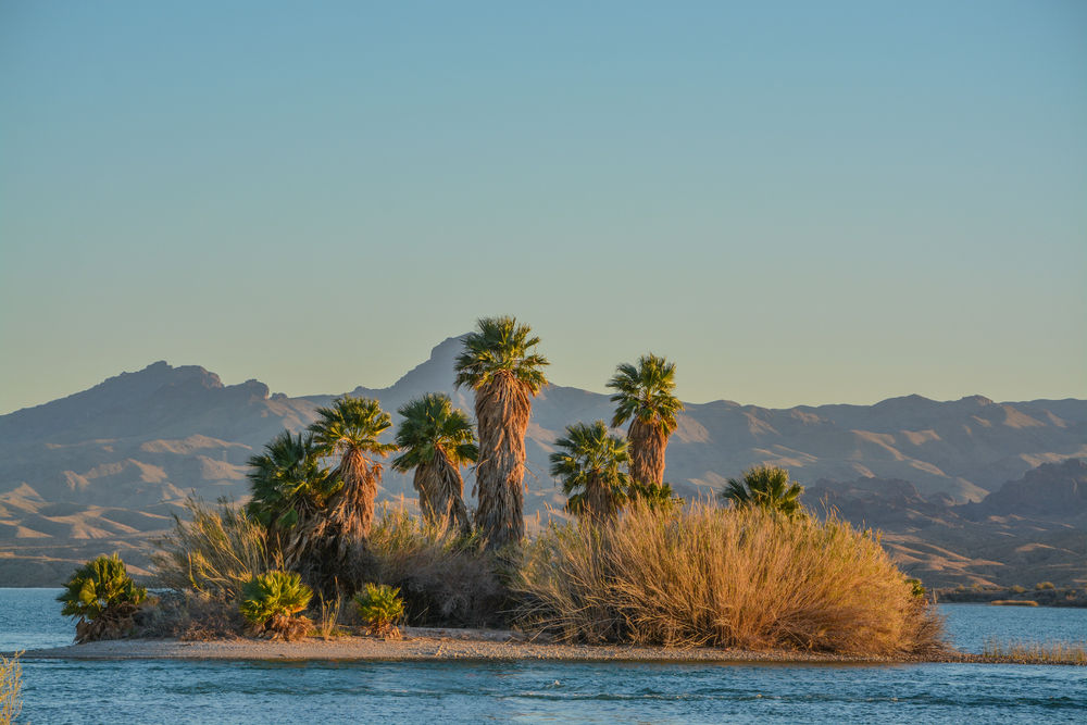 Cheap Lake Havasu Airbnb