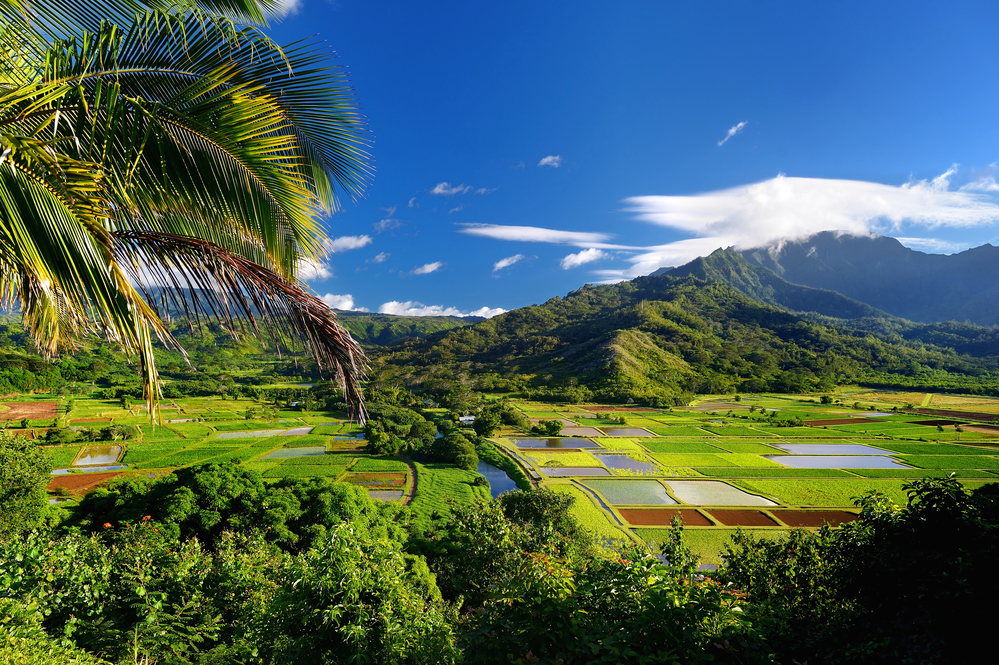 Couples Kauai Airbnb