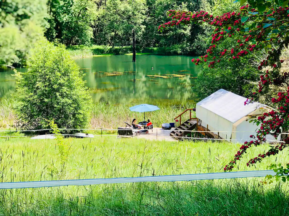 Cozy Glamping in Oregon - Forest Oasis