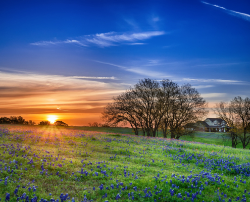 Glamping Texas