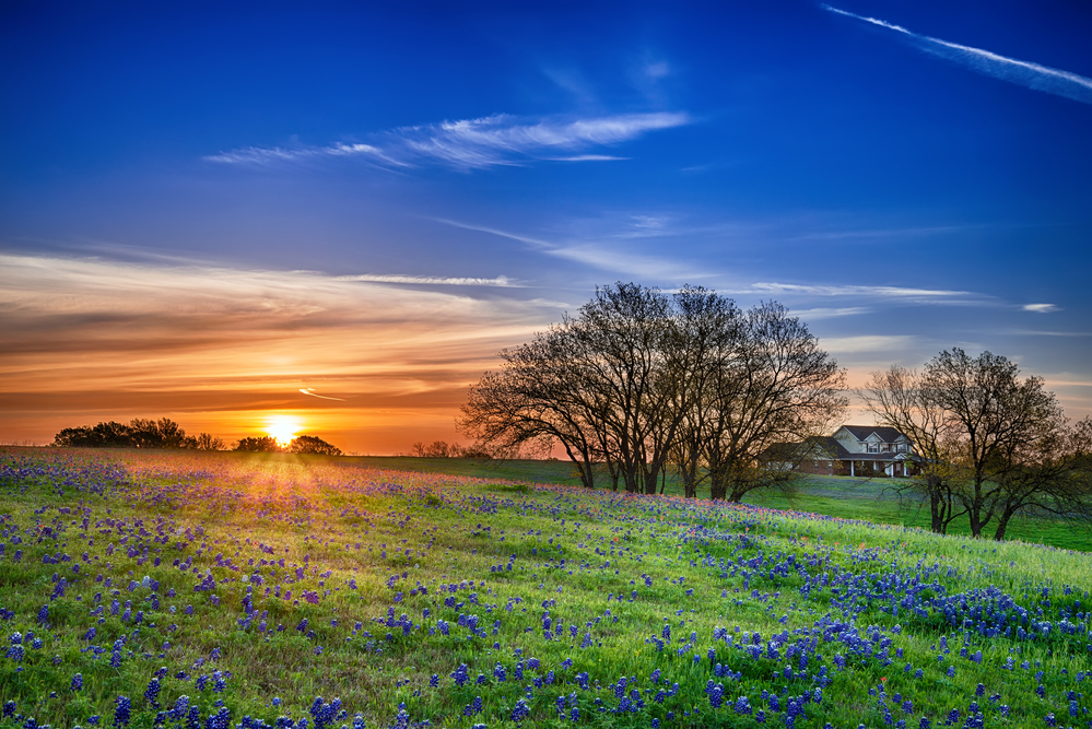 20 Best Glamping Texas Sites For Your Bucket List [2022 Edition]