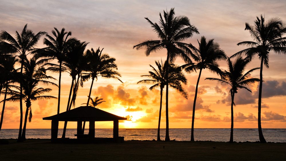 Kauai Family Airbnb