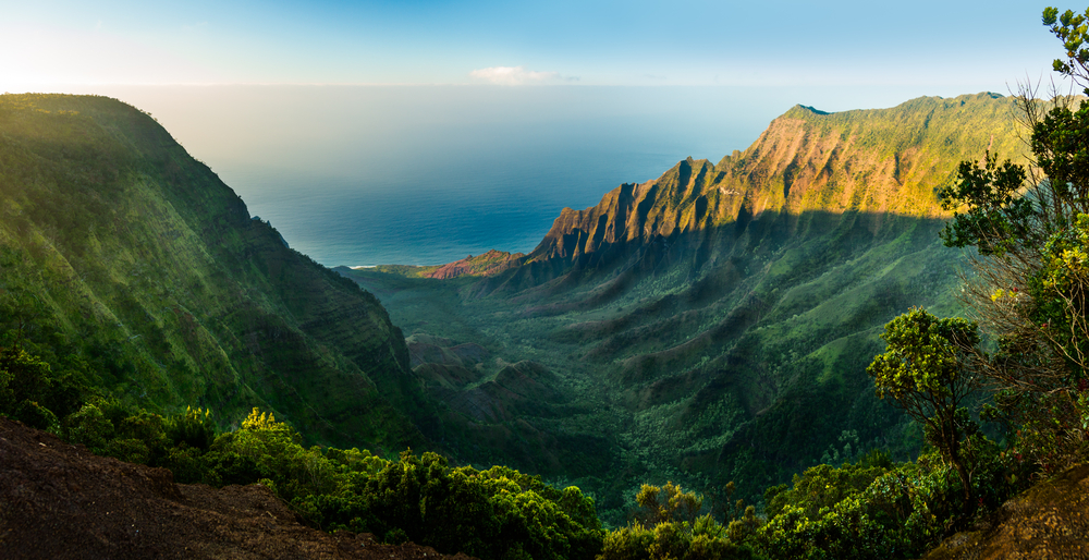 Kauai Treehouse Airbnb