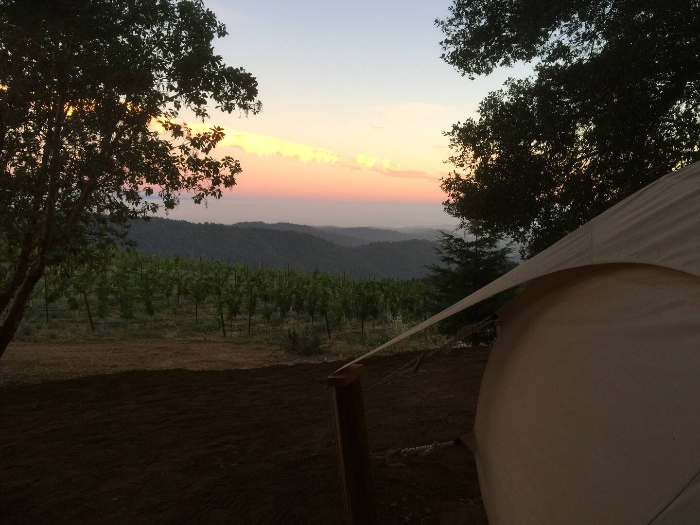 Lotus Yurt Glamping in Vineyard Overlooking Monterey Bay