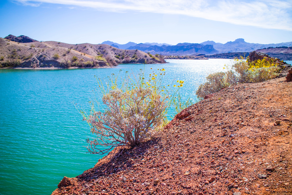 Luxury Airbnb Lake Havasu