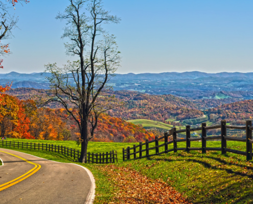 Luxury Glamping in Virginia