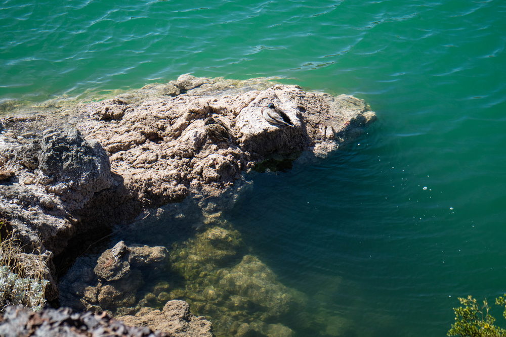 Luxury Lake Havasu Airbnb