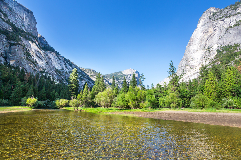 Luxury Yosemite Airbnb