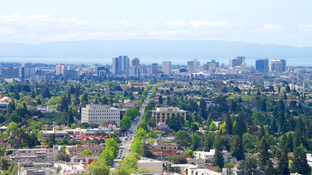 Single Berkeley Airbnb