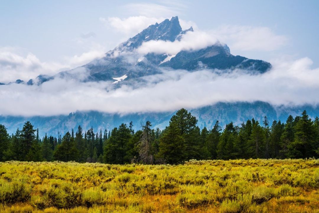 Snowy mountain in Yellowstone with yellow field in the foreground