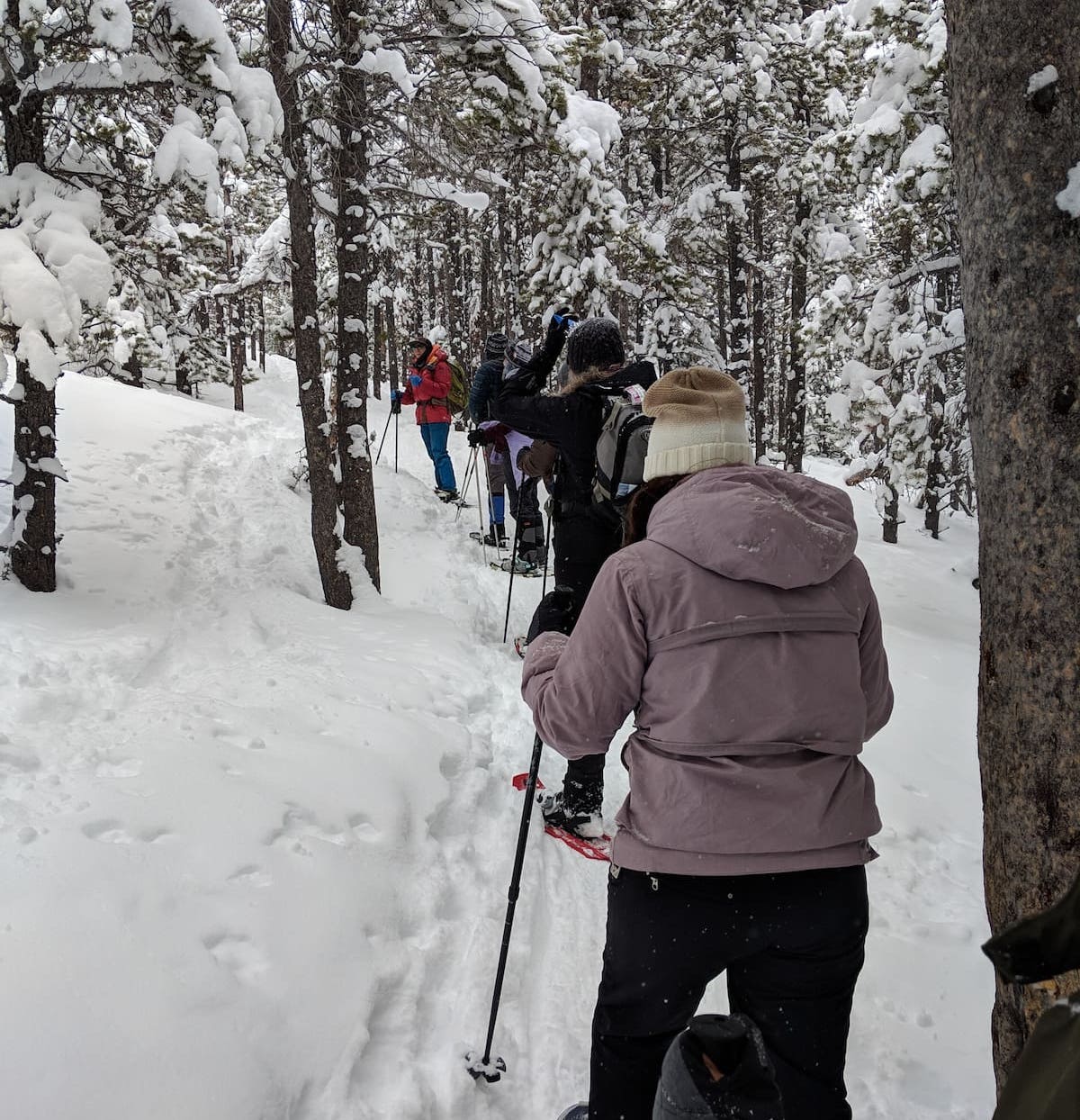 Snowshoe and Fondue - Airbnb Experiences in Estes Park, Colorado
