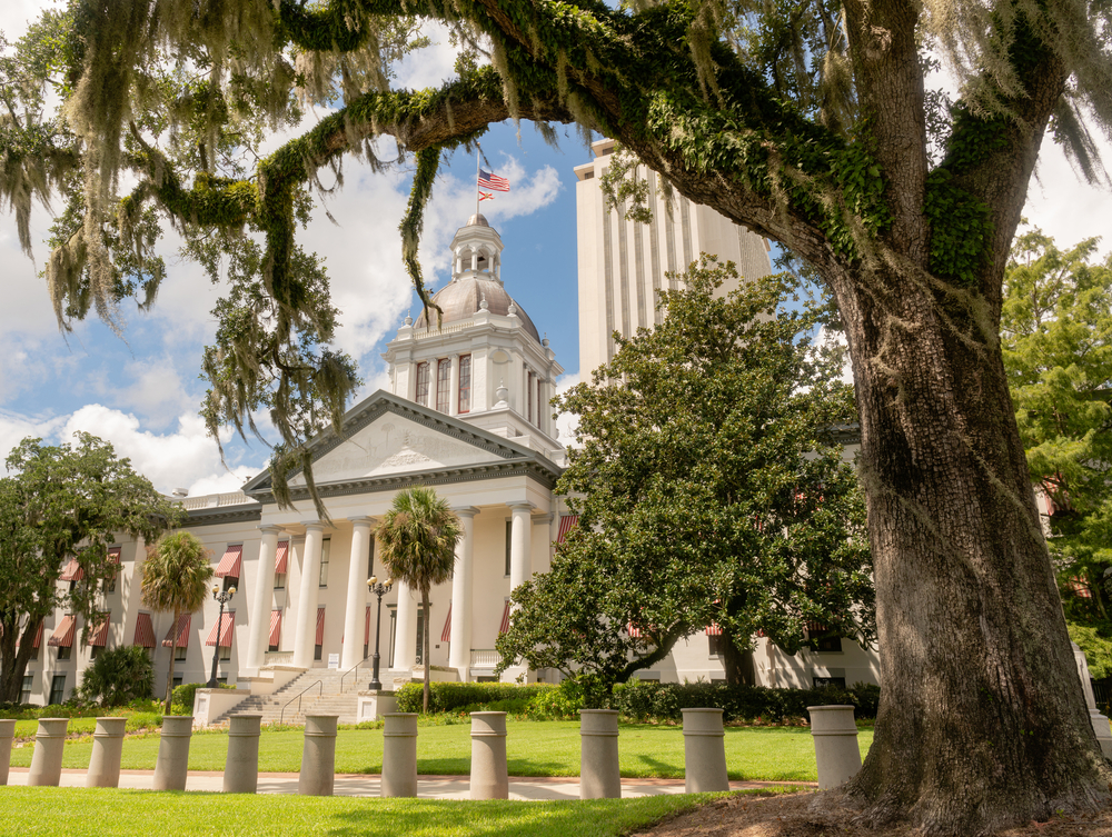 Tallahassee Airbnb Near FSU