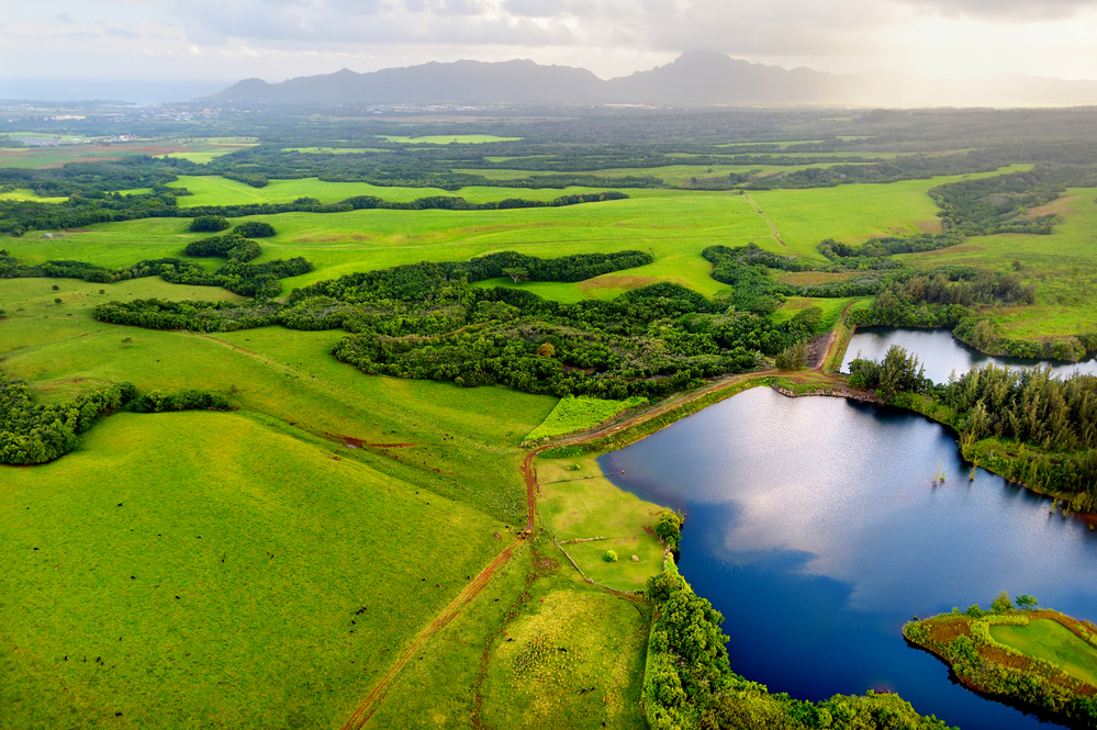 Treehouse Kauai Airbnb