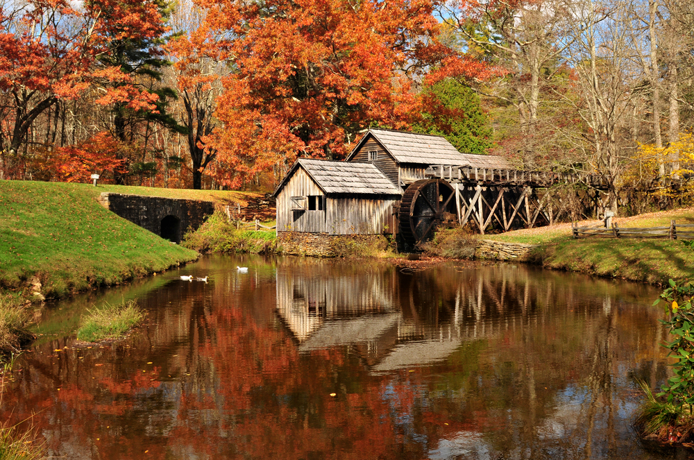 Unique Glamping Virginia