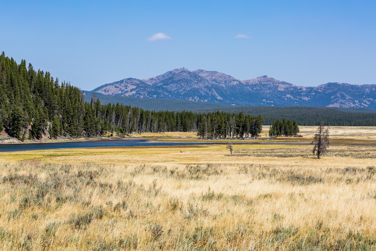 Yellowstone National Park