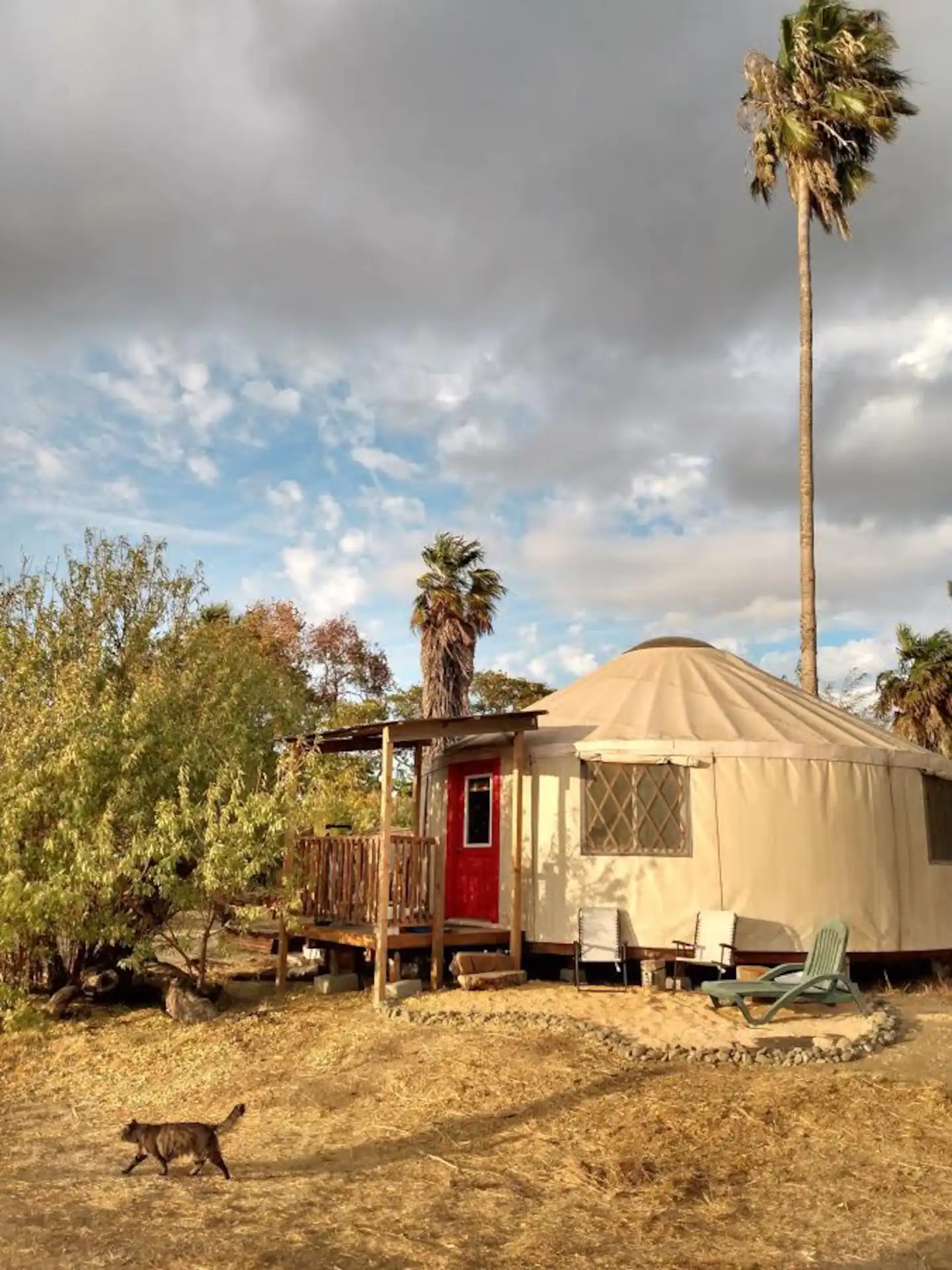 Yolo Yurt bay area glamping