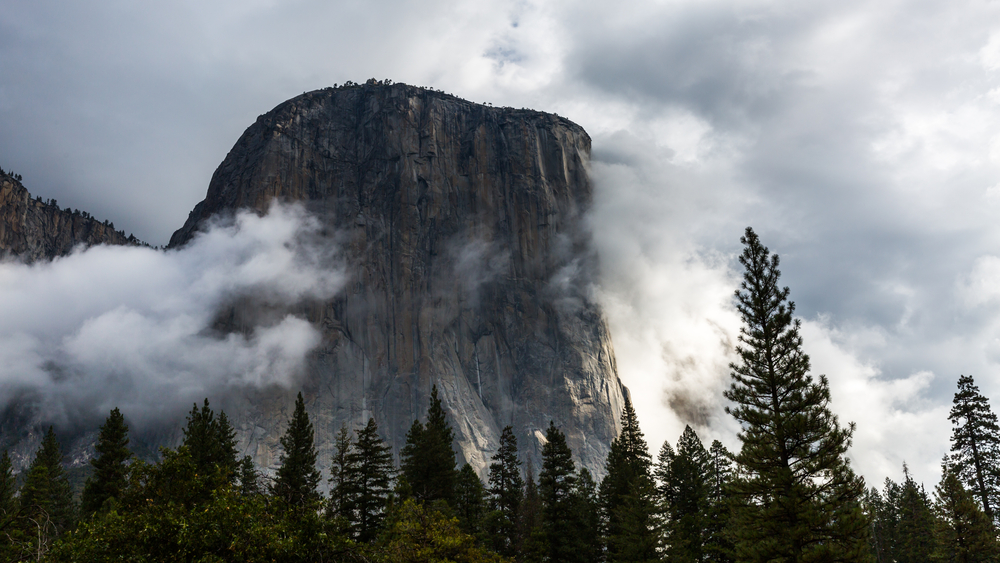 Yosemite Airbnb For Groups 