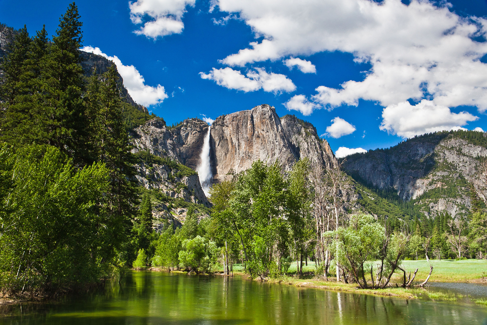 Yosemite Airbnbs