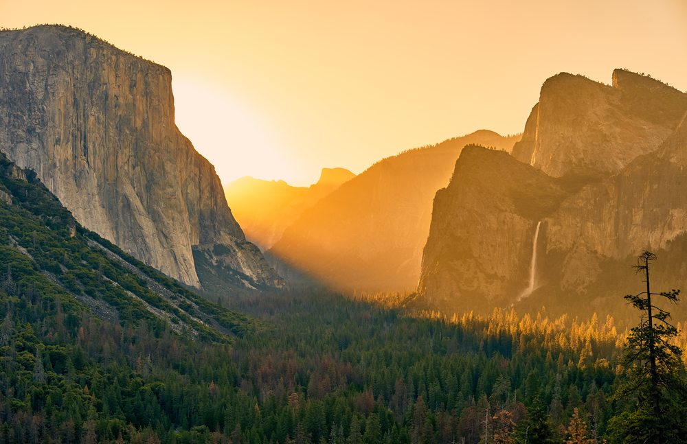 Yosemite Tours