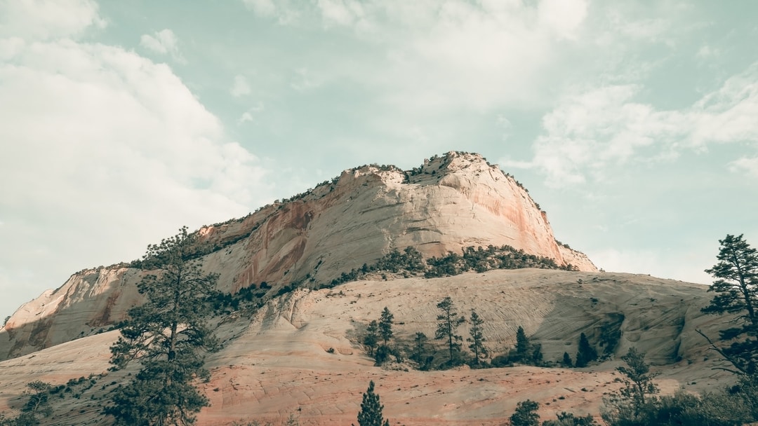 A white-walled butte in Zion National Park, Utah