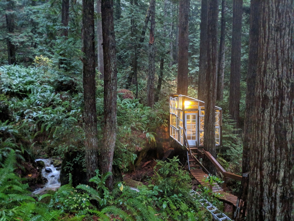 norcal glamping treehouse cabin luxury