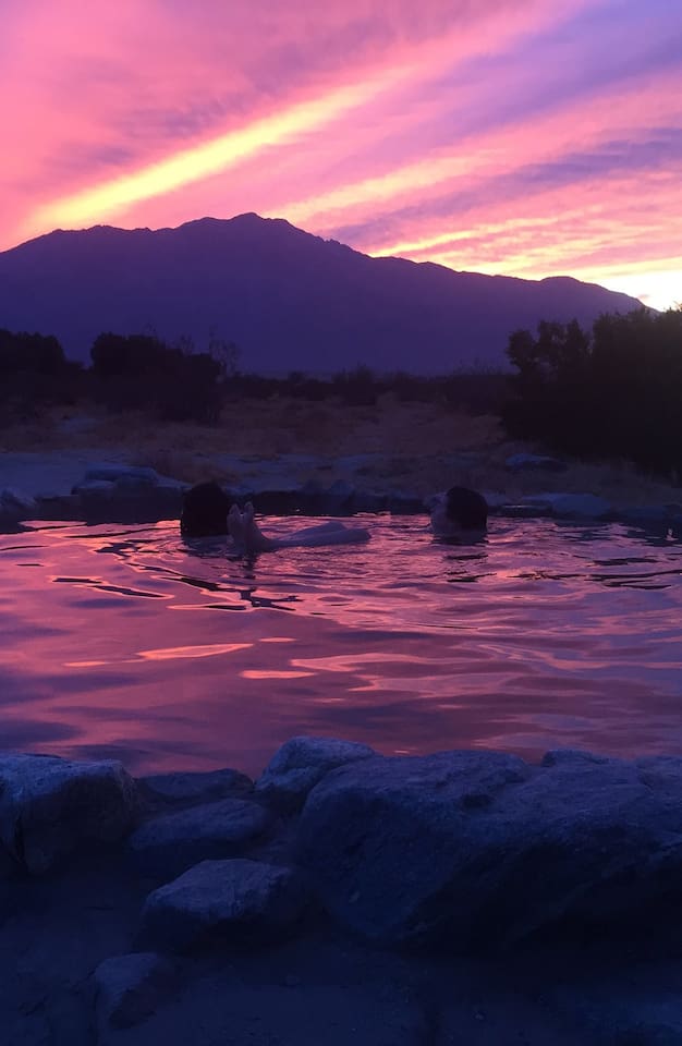 Airbnb Experiences in Joshua Tree National Park